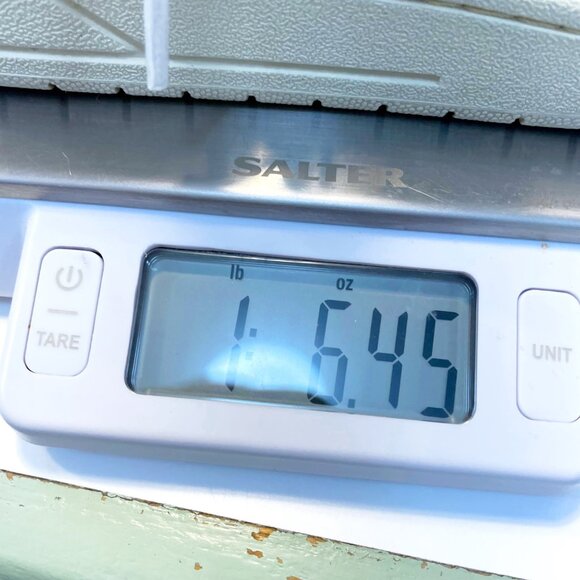 Veja V-10 Sneaker, Size 6 - Picture 8 of 9